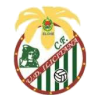 U.D. Ilicitana