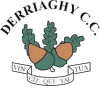 Derriaghy