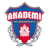 Helsingborgs IF Akademi