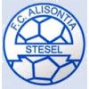 Alisontia Steinsel