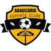 Araucaria