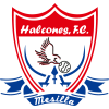 Halcones