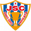 Japan Soccer