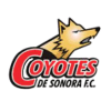 Coyotes
