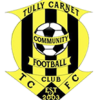 Tullycarnet