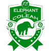 Elephant Coleah