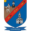 CSO-Ki