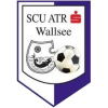 Wallsee