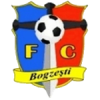 Bogzesti