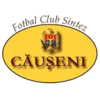 Sinteza Causeni