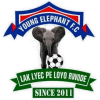Young Elephant