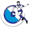 Cluzona