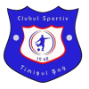 Timisul Sag