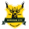 Berekum City