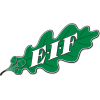 EIF Academy