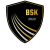 Borsod SK
