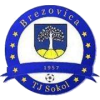 Brezovica