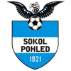 Pohled
