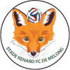 Stade Renard