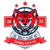 Ojodu City U18