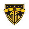 Arturo Fernandez Vial