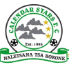 Calendar Stars