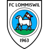 Lommiswil