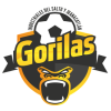 Gorilas de Juanacatlan