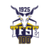 TFSE Budapest