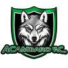 Acambaro