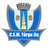 CSM Targu Jiu logo