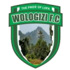 Wologizi