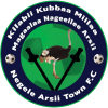 Negele Arsi Ketema
