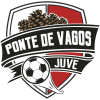 Ponte de Vagos W