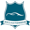 Wuhan Jiangda W