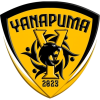 Yanapuma W