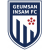 Geumsan Insam