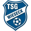 Wieseck U19