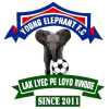 Young Elephant Academy