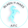 Blaen-y-Maes