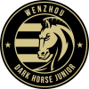 Wenzhou Professional