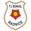 Sokol Radnice
