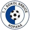 Srbice