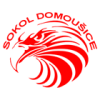 Domousice