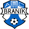 Branik W