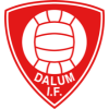Dalum IF