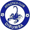 Dibumba