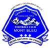 Mont Bleu