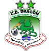 Dragon (7)