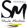 Stade Montois
